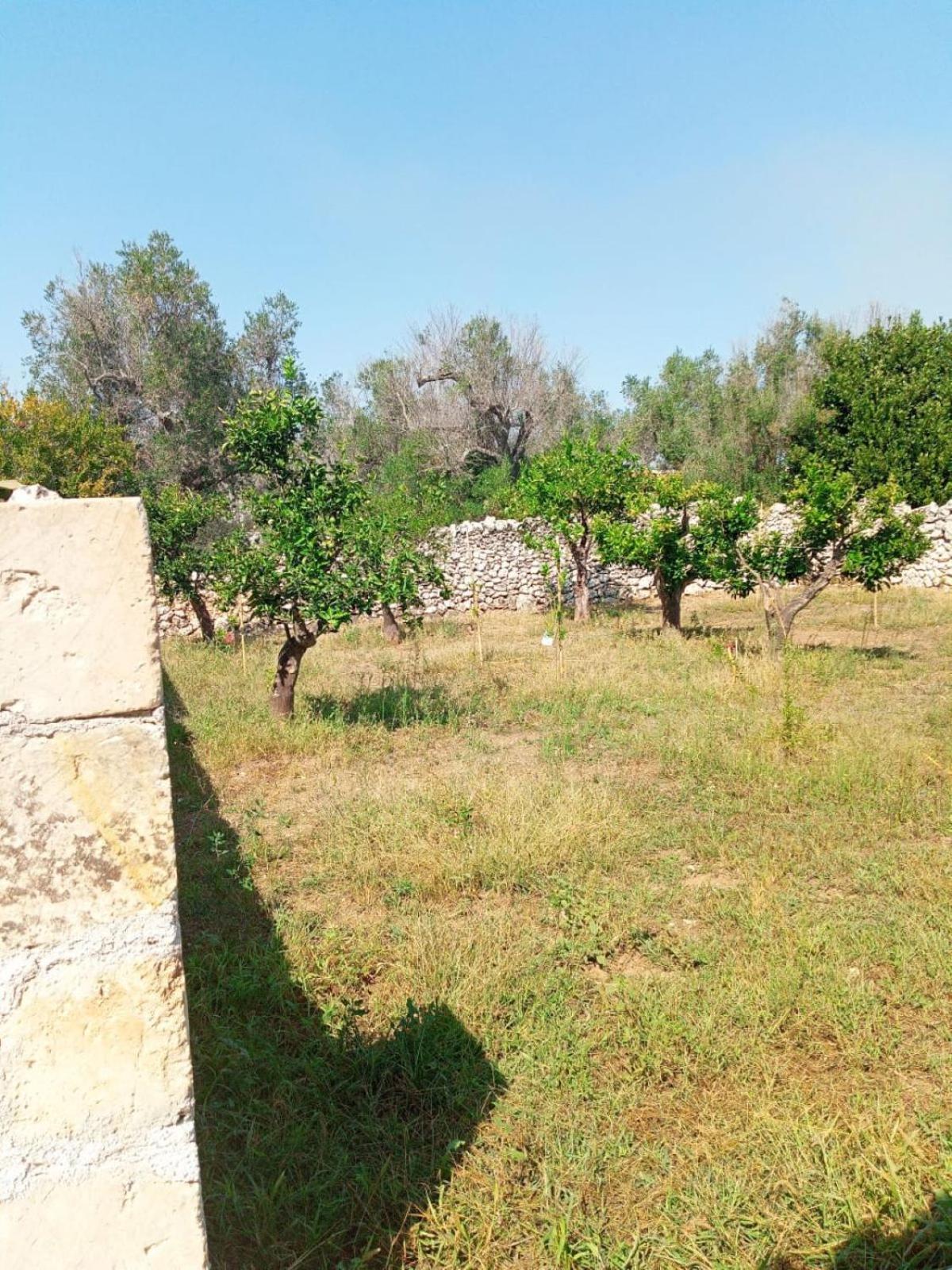 Casolare Giardino Aiarella-Assunta Apartment Merine Bilik gambar