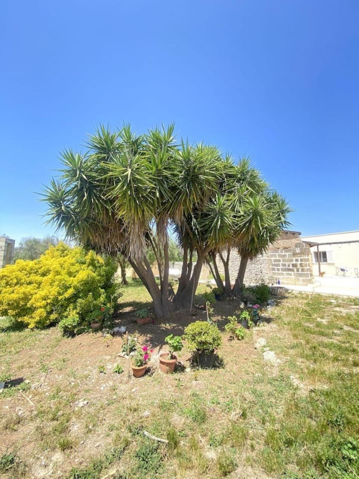 Casolare Giardino Aiarella-Assunta Apartment Merine Bilik gambar