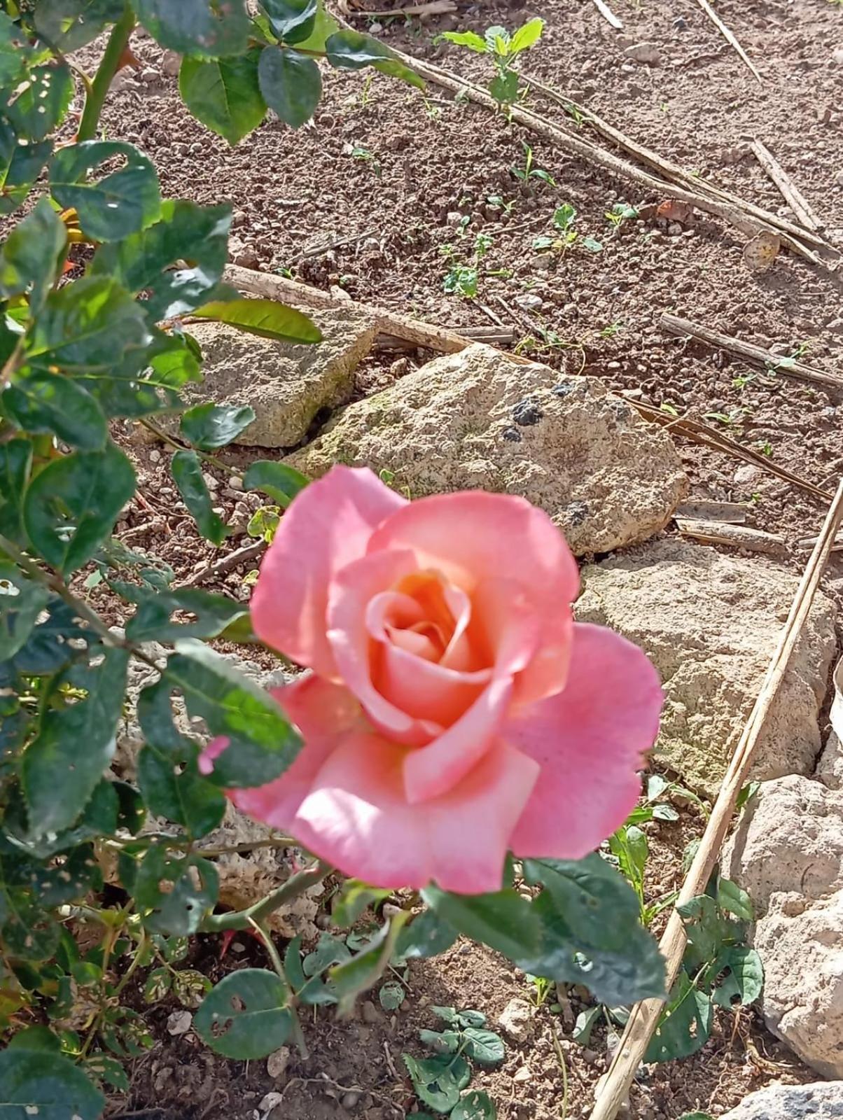 Casolare Giardino Aiarella-Assunta Apartment Merine Luaran gambar